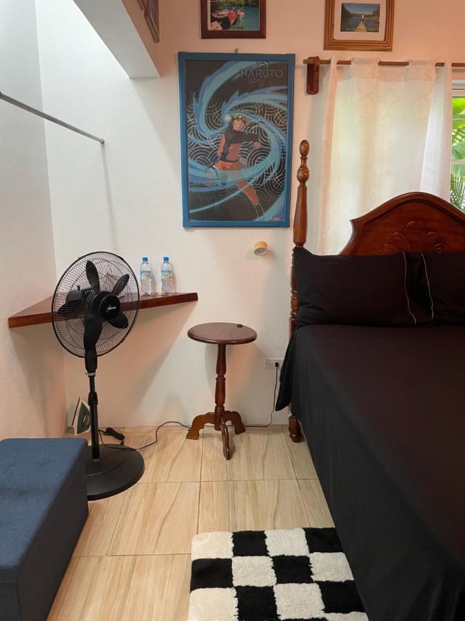 Centrally Located Room - 5 ポート・アントニオ エクステリア 写真